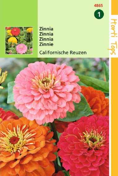 Zinnia elegans Giants of California Mix - 175 seeds HT